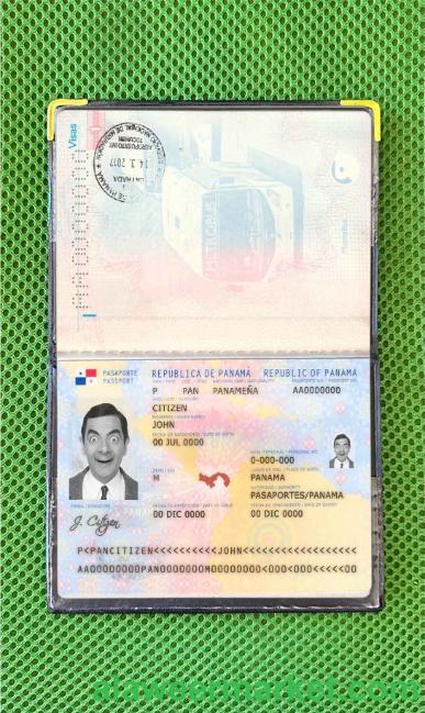 Panama passport photo look